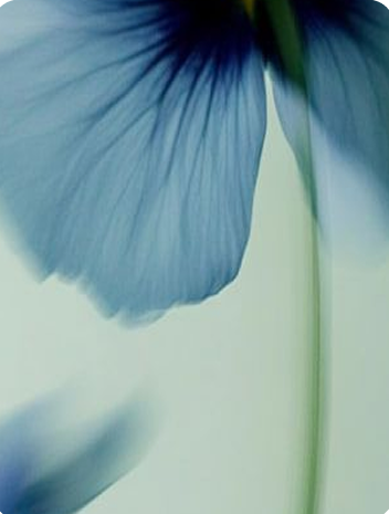 Growth agent background